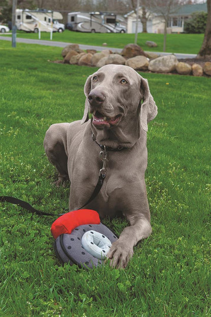 Street Iconz™ Brake Rotor and Caliper Dog Toy